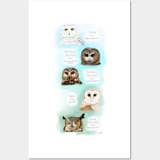 Owl-ways Adorable Posters and Art